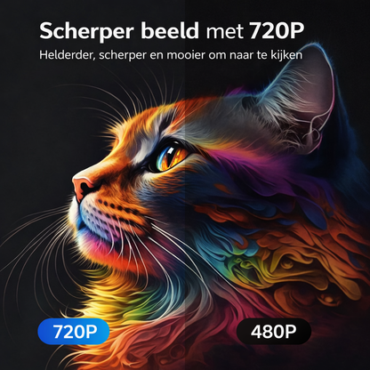 Bioscoop Scherm Projector